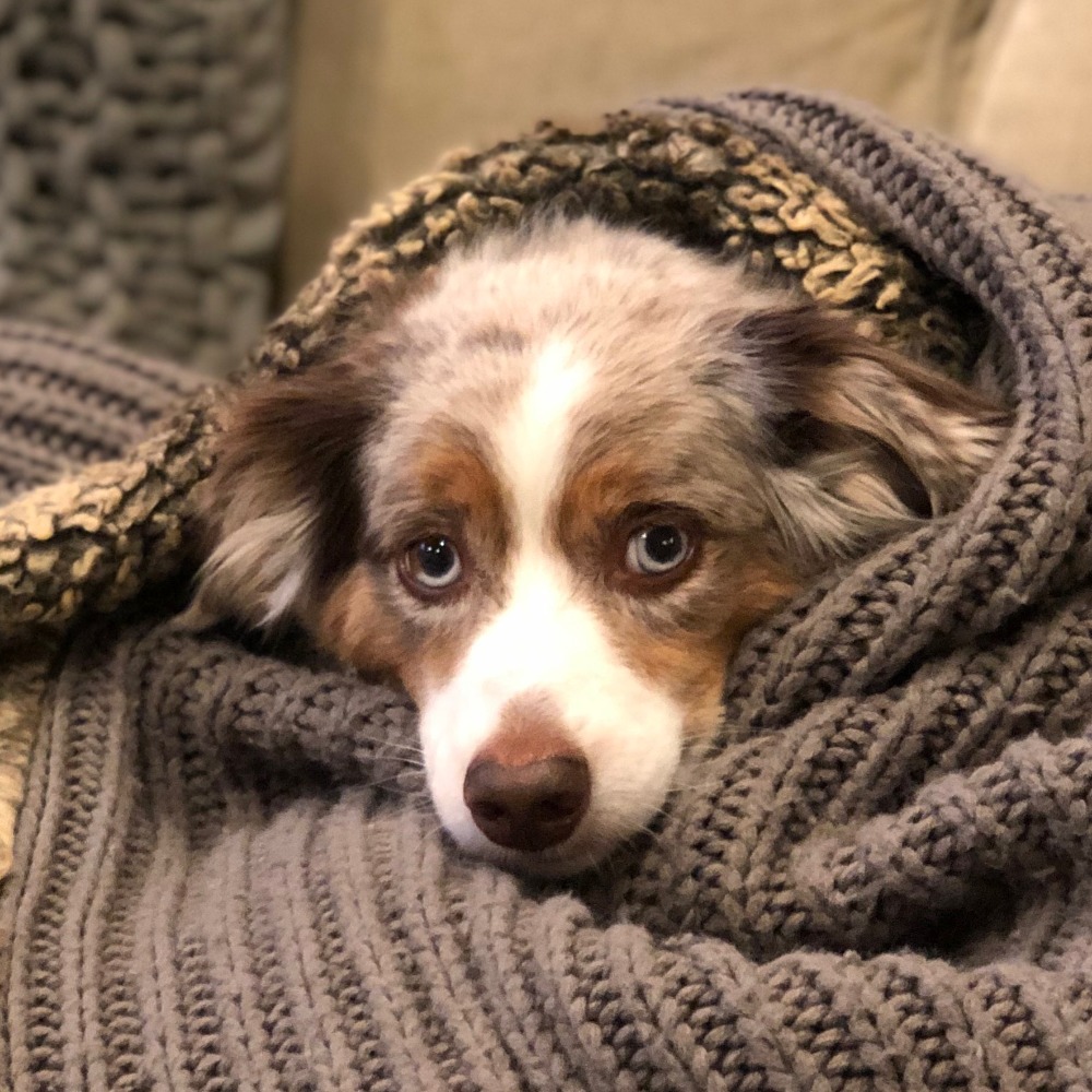 Meet your Posher, Laura